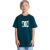 Kids’ DC Star Filled Short Sleeve Tee