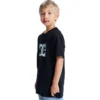 Kids’ DC Star Filled Short Sleeve Tee